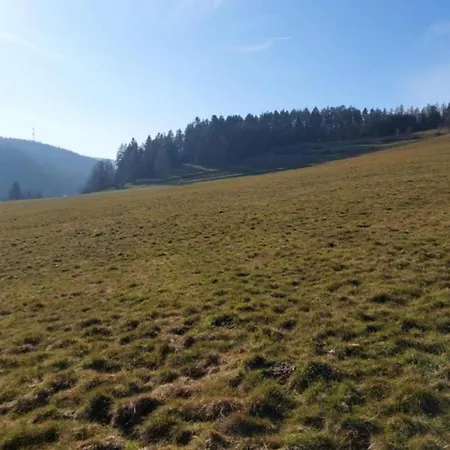 Alte Bauernhaus * Rohrbach (Thuringia)